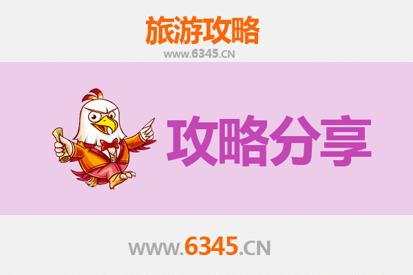 海西都兰旅游攻略：跟团与自由行深度对比